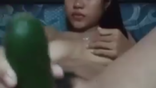 Bokep-Indo-Abg-Masukin-Timun-Karena-Sange-Berat